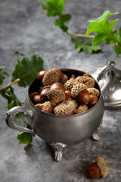 Free photo high angle acorns on table still life