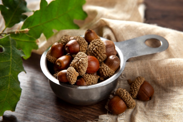 High angle acorns on table still life