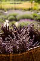 Free photo high angle basket with lavender plants