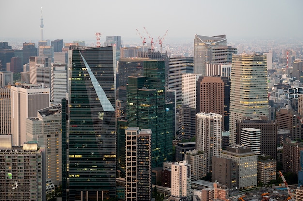 High angle beautiful tall buildings landscape