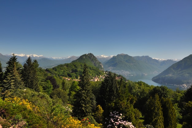 High angle beautiful view of a forest in the mountains with an alpine lake