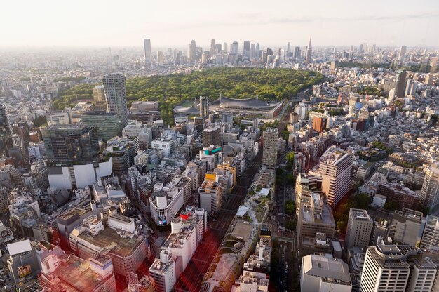 High angle city streets and park