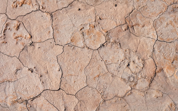 High angle closeup shot of cracked land texture for a background