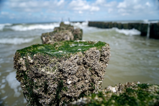 Free photo high angle closeup shot of stones with moss on top leading to the wavy sea