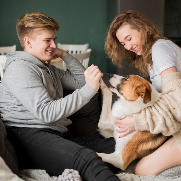 High angle couple playing with dog