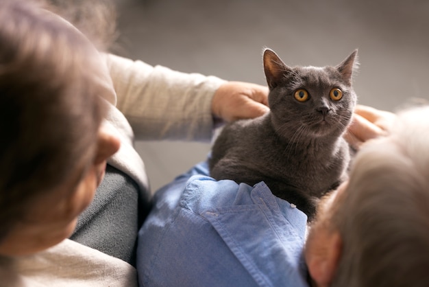 Free photo high angle elderly people with cat