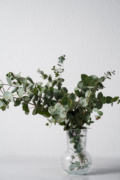 High angle eucalyptus in transparent vase