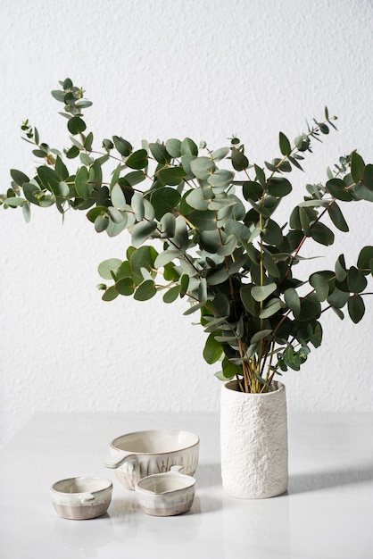 Free photo high angle eucalyptus in white vase