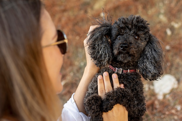 Free photo high angle female caring poodle