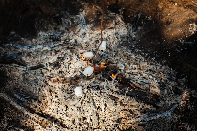 Free Photo high angle fire cooking marshmellows