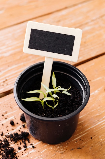 Free photo high angle flower pot on the table