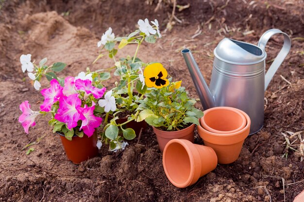 High angle flower pots on soil with tools