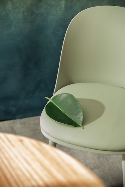 Free Photo high angle green leaf on minimalist chair