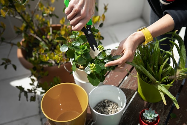 Free photo high angle hand cutting plant with scissors