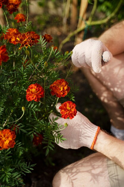 High angle hand holding beautiful flower