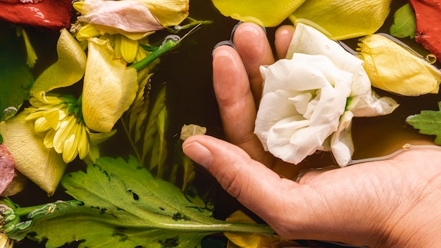 Free Photo high angle hand holding delicate flower