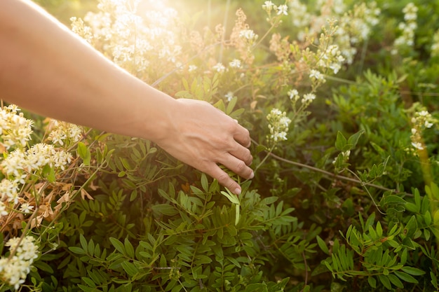 High angle of hand through grass in nature