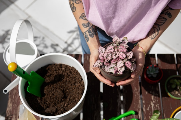 High angle hands holding flower pot