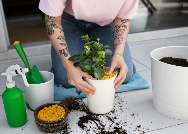 High angle hands transplanting plants