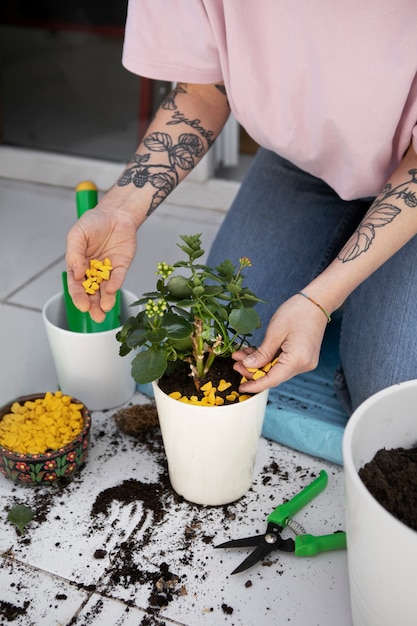 Free photo high angle hands transplanting plants