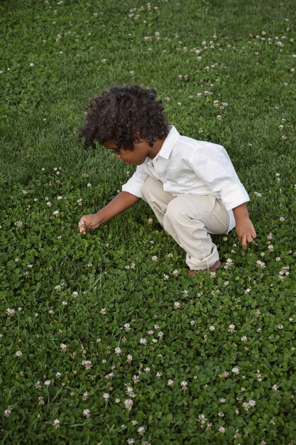 High angle kid picking flowers outdoors