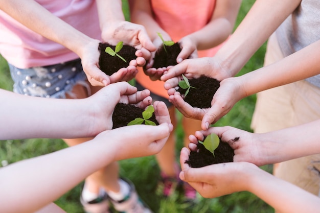 High angle kids getting ready to plant a clover