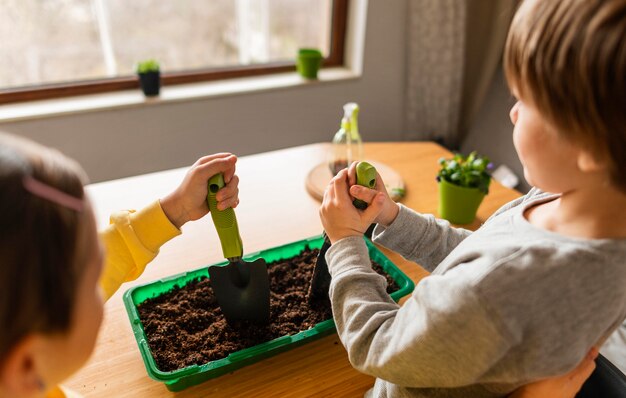 High angle of kids watering crops at home