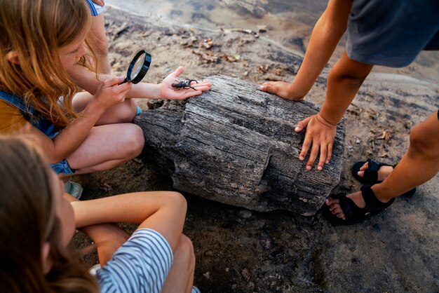 High angle kids with magnifying glass