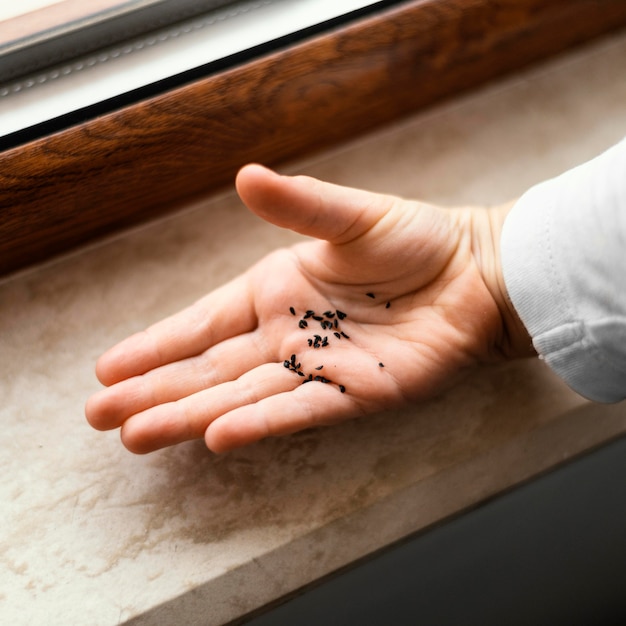 Free photo high angle of little child holding dirt for plants in his palm