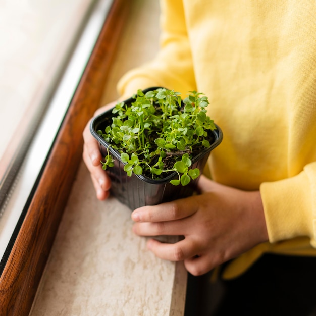 Free photo high angle of little girl with small plant at home