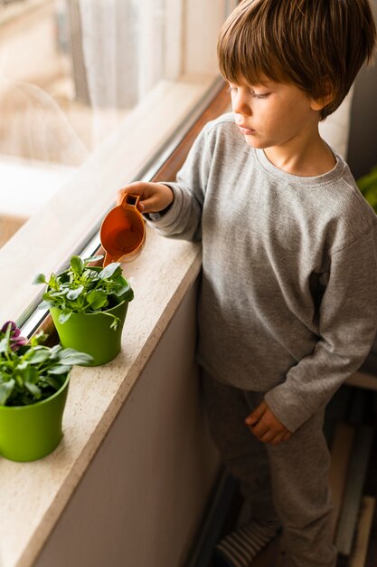 High angle of little kid watering plants by the window