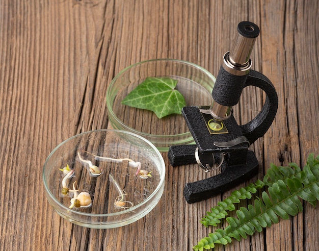 Free photo high angle microscope and plants