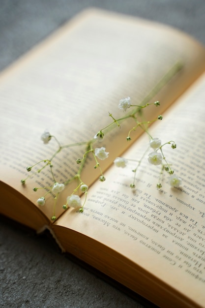 High angle open book with flower