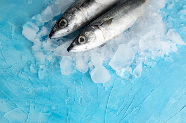 High angle of pair of fish with ice