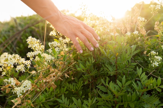 Free photo high angle of person running their hands through grass outdoors