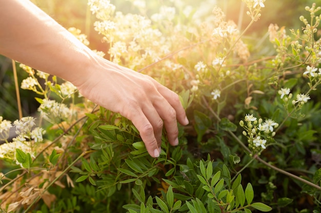 Free photo high angle of person running their hands through grass