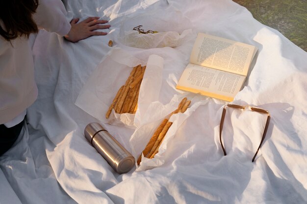 High angle picnic with book and snacks