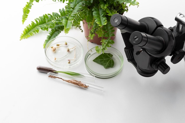 Free photo high angle plants and microscope