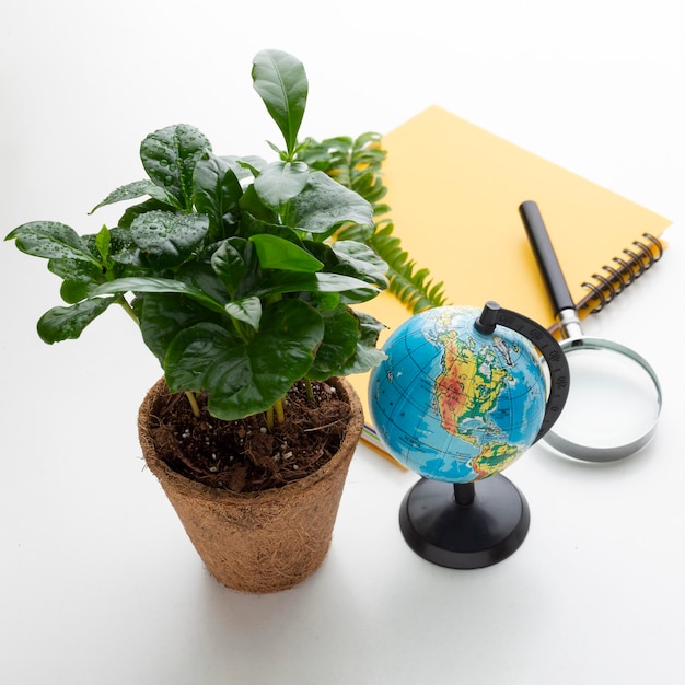 High angle potted plant and study items