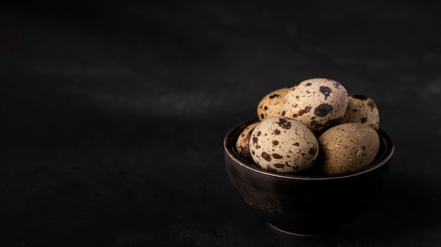 High angle quail eggs in bowl with copy-space