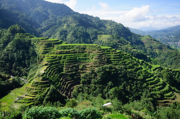 High angle shot of a beautiful landscape in Banaue Rice Terraces, Ifugao Province, Philippines