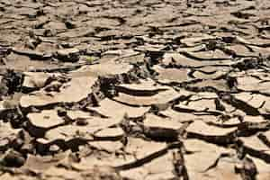 Free photo high angle shot of the dried and cracked muddy ground