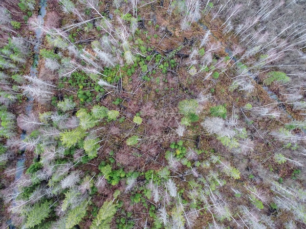 High angle shot of a field with partially gone dry because of changes in weather