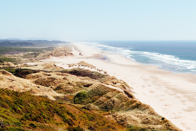 Free photo high angle shot of a green landscape near the beach with sea waves crashing