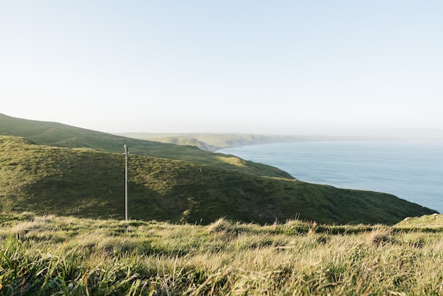 High angle shot of hills covered in the greenery surrounding the ocean