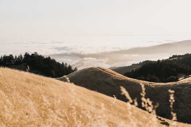 Free Photo high angle shot of hills of different sizes surrounding the calm ocean