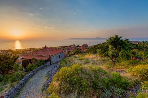 High angle shot of the houses by the trees under the sunset captured in Lesbos, Greece