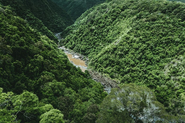 High angle shot of a muddy river between the green mountains on a bright sunny day