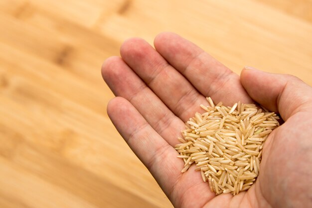 High angle shot of a person holding rice