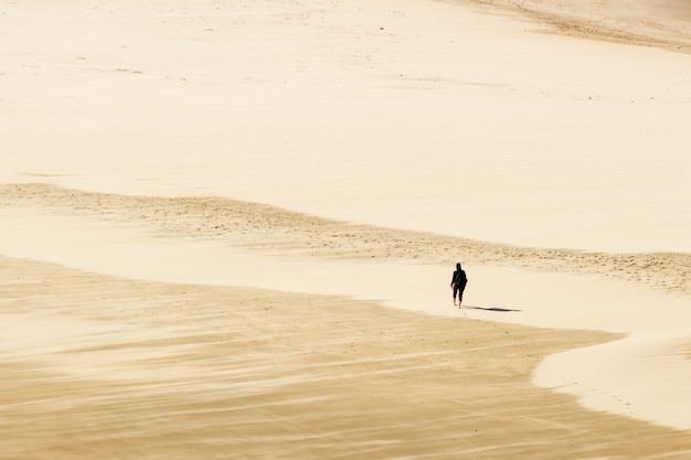 Free photo high angle shot of a person walking barefoot on the warm sands of the desert